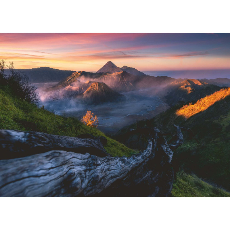 kidsmagicstore.ro|Puzzle Insula Java Mount Bromo, 1000 Piese95,19 lei85,67 leiRavensburgerNoutati4005556169115