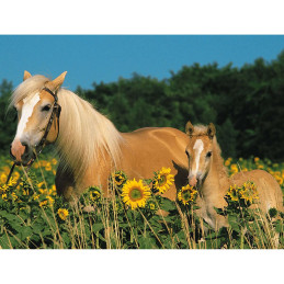 Puzzle Cai, 200 Piese