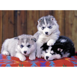 Puzzle Pui De Huskie, 200 Piese