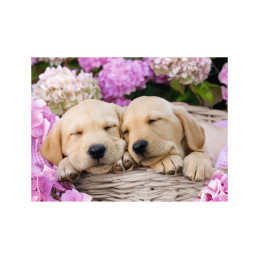 Puzzle Catei In Patura, 300 Piese