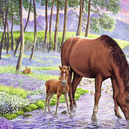 Puzzle Cal Cu Manz, 300 Piese