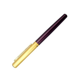 Stilou CNX Lux Dikawen 8039, penita ascunsa, alimentare pompita, corp metalic bordo, capac auriu