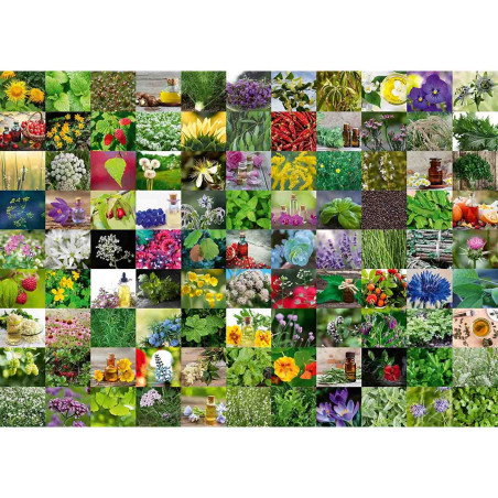 kidsmagicstore.ro|Puzzle 99 De Plante Si Condimente, 1000 Piese95,19 lei85,67 leiRavensburgerNoutati4005556159918