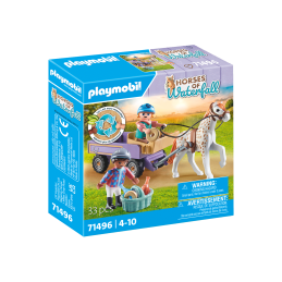 Playmobil-CARUTA CU PONEI