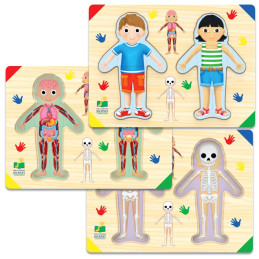 Puzzle - Sa Invatam Corpul Uman