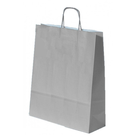 kidsmagicstore.ro|Punga cadou Papiroti 16255, A3, 32x41x12cm, 100g/mp, argintie, manere din hartie rasucita3,13 lei2,82 leiPAPIROTINoutati6422316064486
