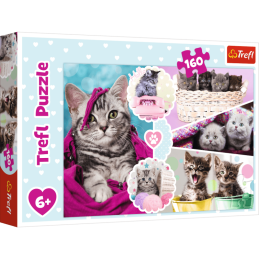Puzzle carton 160 piese Trefl Pisicute dragute, 15371 / 445768, 6+ ani