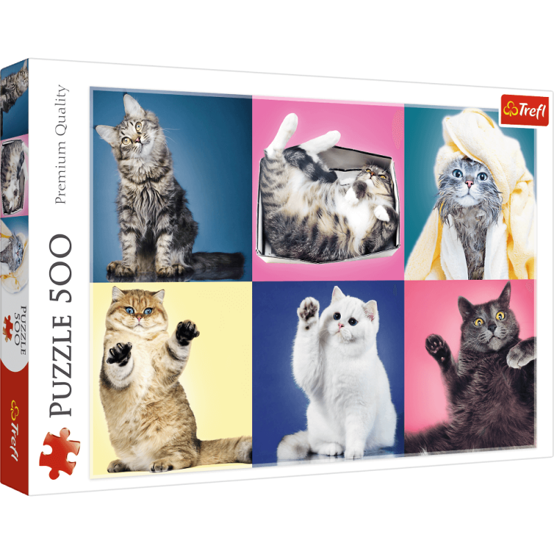 kidsmagicstore.ro|Puzzle carton 500 piese Trefl Pisici jucause, 37377, 10+ ani47,28 lei42,55 leiTreflFara stoc5900511373776 kidsmagicstore.ro|Puzzle carton 500 piese Trefl Pisici jucause, 37377, 10+ ani47,28 lei42,55 leiTreflFara stoc5900511373776