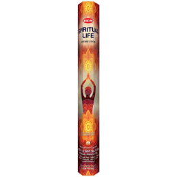 Betisoare parfumate Hem 296, Spiritual Life, set 20 buc