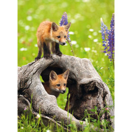 Ravensburger - Puzzle pui de vulpe 300 piese