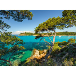 Puzzle Priveliste Superba, 500 Piese