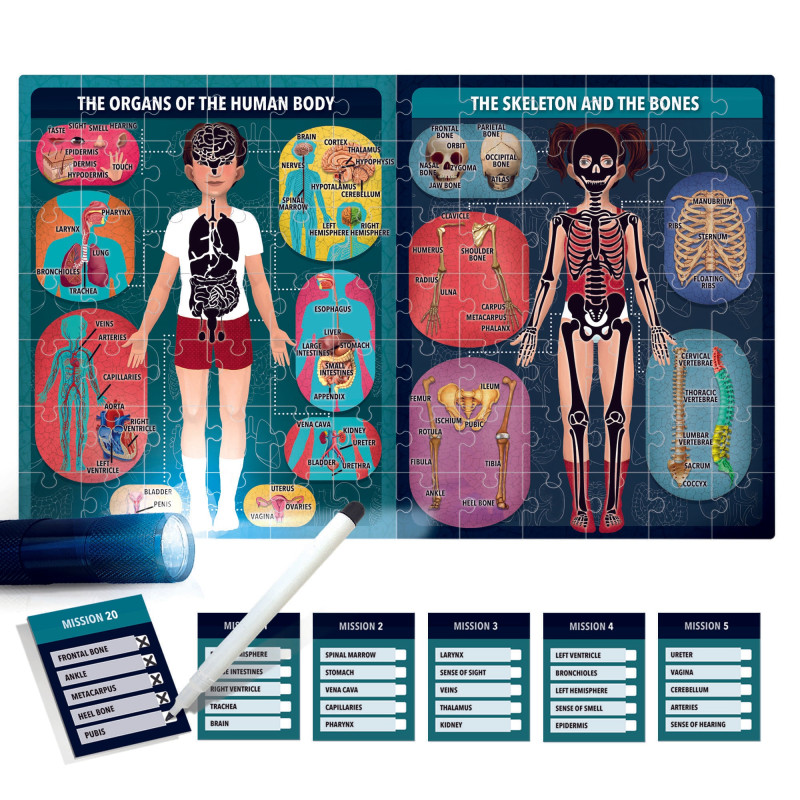 kidsmagicstore.ro|Headu Stem - Puzzle Radiografia Corpului Uman95,19 lei85,67 leiHeaduNoutati8059591422762