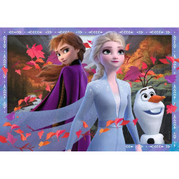 Puzzle Frozen II, 2X24 Piese