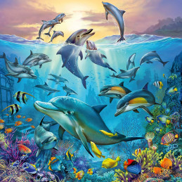 kidsmagicstore.ro|THE LEARNING JOURNEY - PUZZLE SI JOC DINOZAURI79,31 lei71,38 leiTHE LEARNING JOURNEYNoutati657092719855