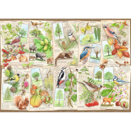 Puzzle Copaci Magnifici, 1000 Piese