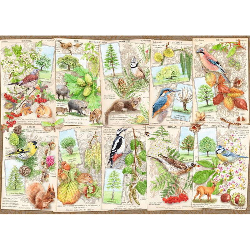 Puzzle Copaci Magnifici, 1000 Piese