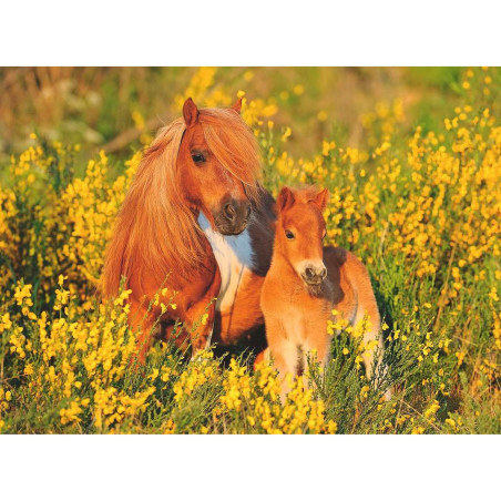 kidsmagicstore.ro|Puzzle Ponei, 100 Piese68,70 lei61,83 leiRavensburgerNoutati4005556132836