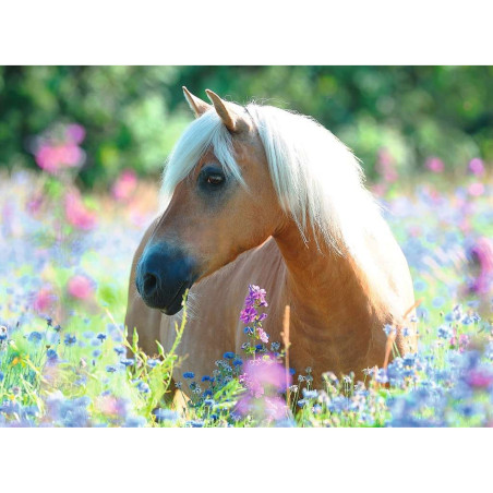 kidsmagicstore.ro|Puzzle Calut Pe Camp De Flori, 300 Piese68,70 lei61,83 leiRavensburgerNoutati4005556132942