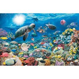 kidsmagicstore.ro|PENSULA SERIA 621 NR 16 MILAN24,69 lei22,22 leiNoutati