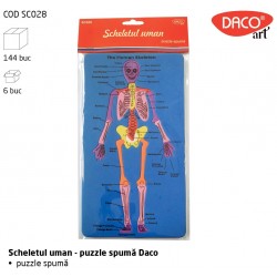Set didactic - SC028 Scheletul uman DACO