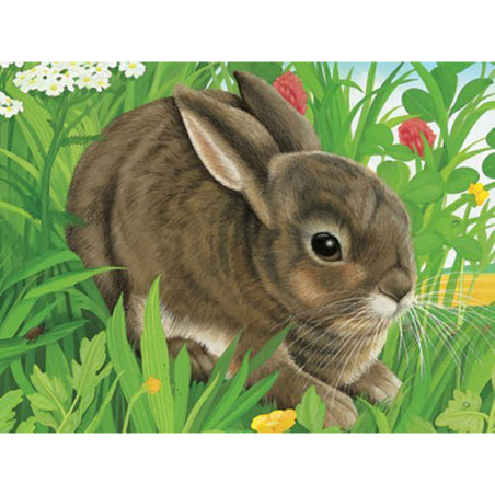 kidsmagicstore.ro|Puzzle In Cutie Animale, 12 Piese79,29 lei71,36 leiRavensburgerNoutati4005556074129