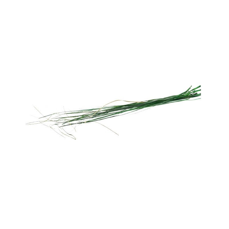 kidsmagicstore.ro|Foliage Bear Grass, punga 5 buc, Colorarte6,66 lei5,99 leiCOLORARTEFara stoc6422316061379 kidsmagicstore.ro|Foliage Bear Grass, punga 5 buc, Colorarte6,66 lei5,99 leiCOLORARTEFara stoc6422316061379