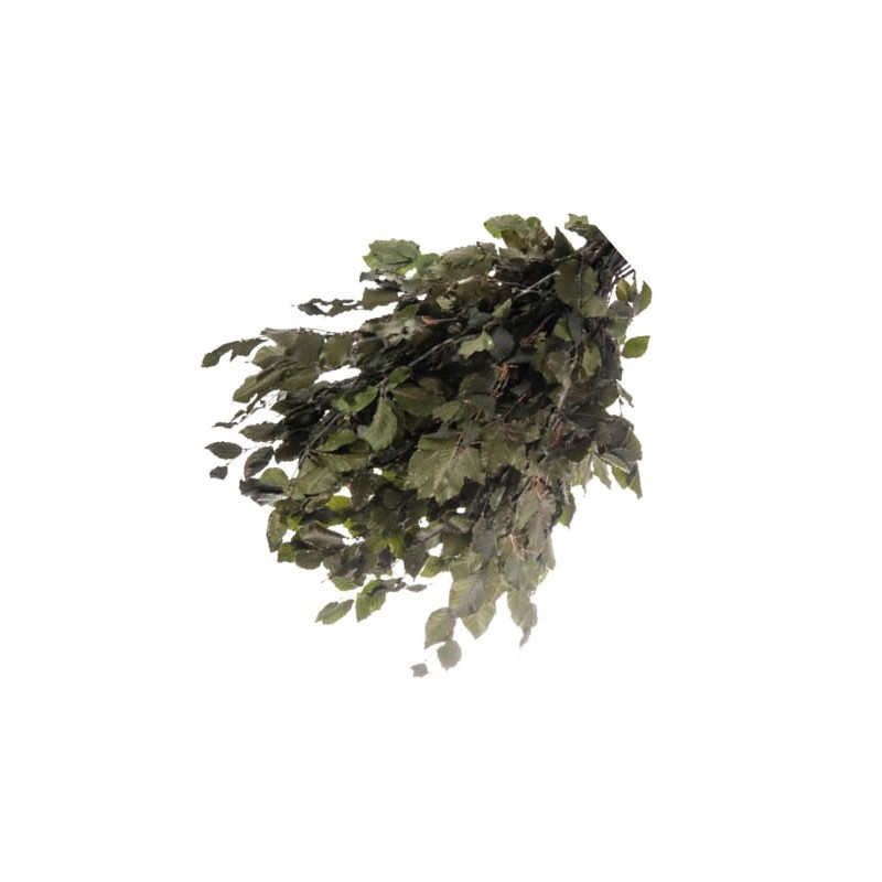 kidsmagicstore.ro|Foliage Fagus, punga 12g, Colorarte8,44 lei7,60 leiCOLORARTENoutati6422316061324