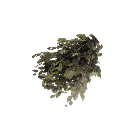 kidsmagicstore.ro|Foliage Fagus, punga 12g, Colorarte8,44 lei7,60 leiCOLORARTENoutati6422316061324