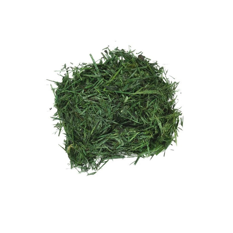 kidsmagicstore.ro|Foliage Gazon, punga 15g, Colorarte6,66 lei5,99 leiCOLORARTEFara stoc6422316061478 kidsmagicstore.ro|Foliage Gazon, punga 15g, Colorarte6,66 lei5,99 leiCOLORARTEFara stoc6422316061478