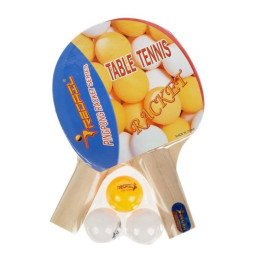Set Ping-Pong, include 2 palete, 3 mingi, 3+ ani, MegaCreative, 427581