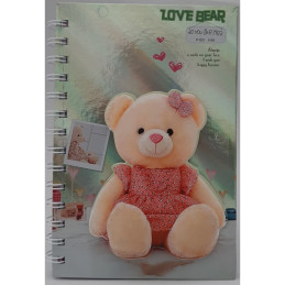 Jurnal A5 CNX Urusulet A-548, 100 pagini, coperta carton argintie, cu spira