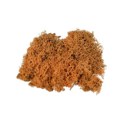Licheni stabilizati, aramiu, punga 20g, Colorarte, Q1