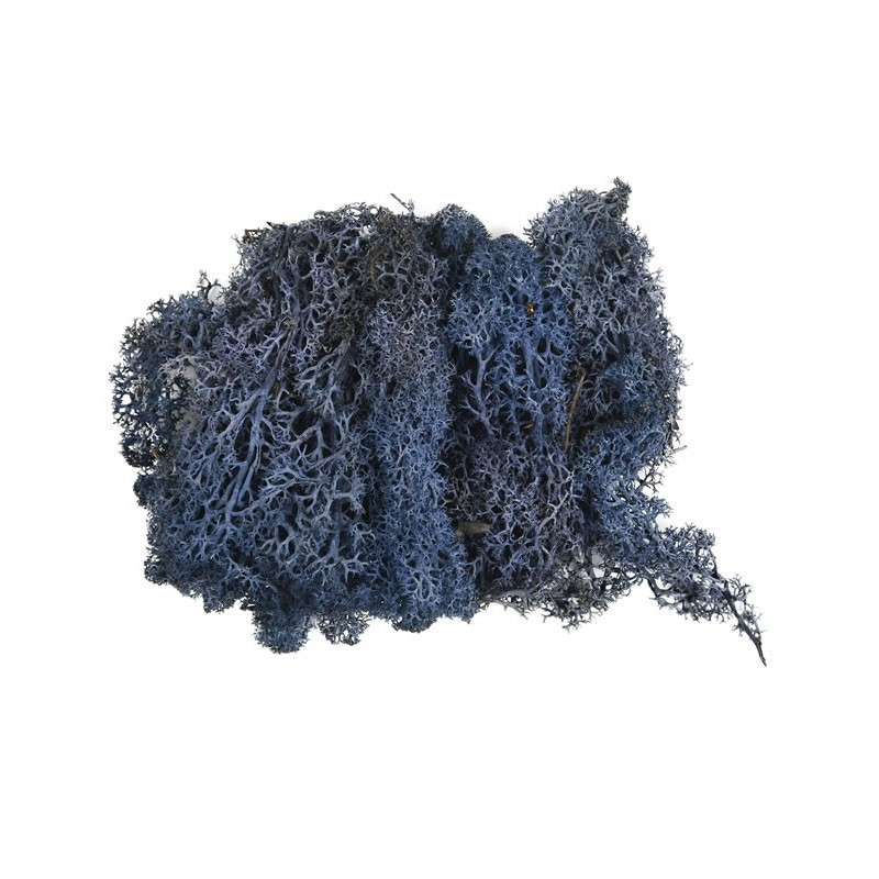 Licheni stabilizati, bleumarin, punga 20g, Colorarte, Q1 Licheni stabilizati, bleumarin, punga 20g, Colorarte, Q1