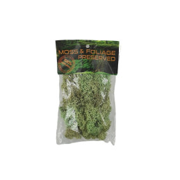Licheni stabilizati, verde pal, punga 20g, Colorarte, Q1