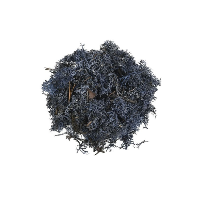 Licheni stabilizati, bleumarin, punga 30g, Colorarte, Q2 Licheni stabilizati, bleumarin, punga 30g, Colorarte, Q2
