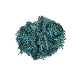 Licheni stabilizati, turcoaz, punga 30g, Colorarte, Q2