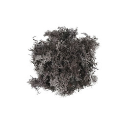 Licheni stabilizati, violet, punga 30g, Colorarte, Q2