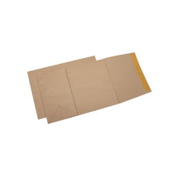Plic cu burduf B4T GPV 106949 / 105949, kraft, 120g/mp, 250x353mm, siliconic