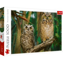 Puzzle carton 1000 piese Trefl Bufnite, 10603, 12+ ani