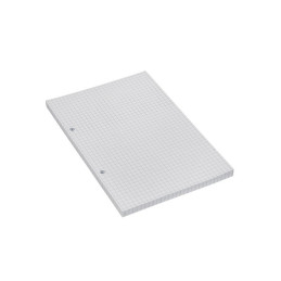 Rezerva caiet mecanic Dany, 100 file, matematica, 2 inele