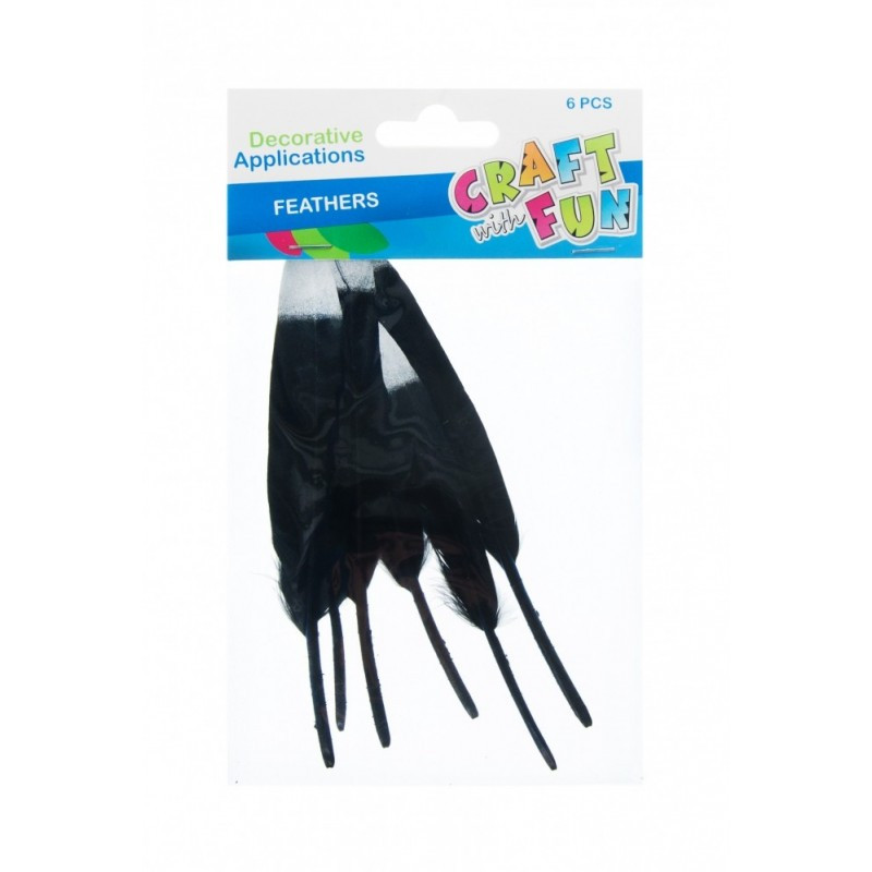 Accesorii creatie - pene, negru, argintiu, 12-15cm, set 6 buc, Craft with Fun, 463663 Accesorii creatie - pene, negru, argintiu, 12-15cm, set 6 buc, Craft with Fun, 463663