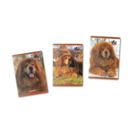 kidsmagicstore.ro|PLACA BIGUIRE PB002 DACO71,38 lei64,24 leiNoutati