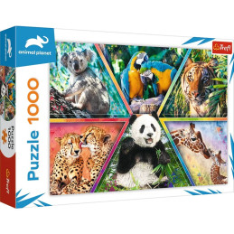 kidsmagicstore.ro|CREION GRAFIT ROTUND SUNSET HB MILAN 716227242,57 lei2,31 leiNoutati