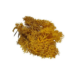 Aparat de embosat hartia -  model stelute
