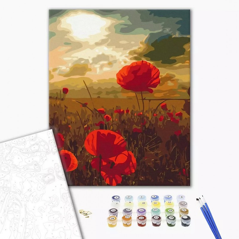 Set Pictura pe numere 40x50cm, Brushme - Camp cu maci - panza, cadru de lemn, pensule, culori acrilice, BS51961 Set Pictura pe numere 40x50cm, Brushme - Camp cu maci - panza, cadru de lemn, pensule, culori acrilice, BS51961