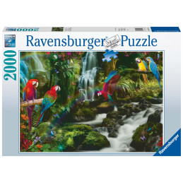 kidsmagicstore.ro|Puzzle Papagali In Jungla, 2000 Piese184,12 lei165,71 leiRavensburgerNoutati4005556171118