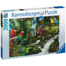 kidsmagicstore.ro|Puzzle Papagali In Jungla, 2000 Piese184,12 lei165,71 leiRavensburgerNoutati4005556171118