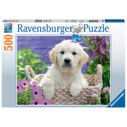 kidsmagicstore.ro|Puzzle Golden Retriever In Cos, 500 Piese62,37 lei56,13 leiRavensburgerNoutati4005556148295