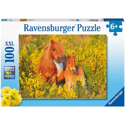 kidsmagicstore.ro|Puzzle Ponei, 100 Piese68,70 lei61,83 leiRavensburgerNoutati4005556132836