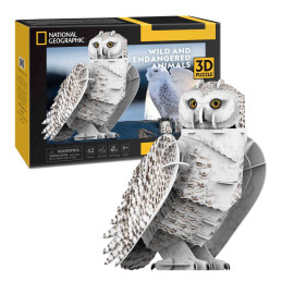kidsmagicstore.ro|CUBICFUN - PUZZLE 3D BUFNITA POLARA 62 PIESE63,42 lei57,08 leiCubic FunNoutati6944588210793